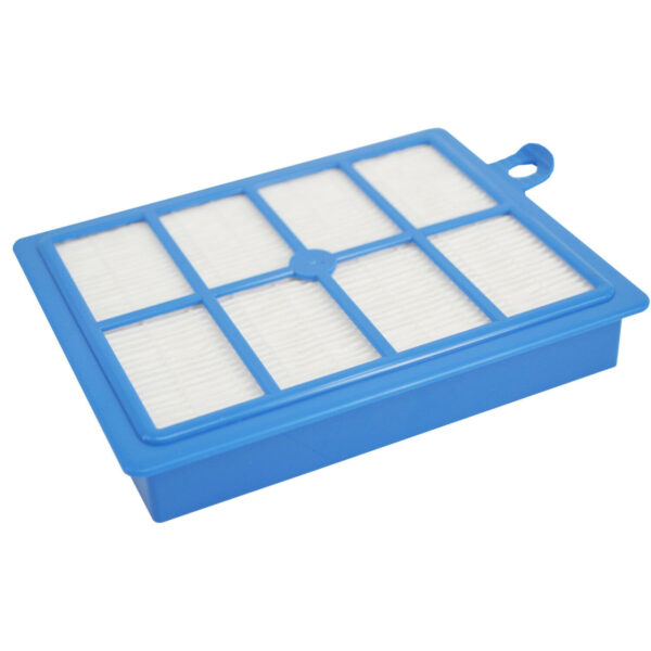 Hygieia HEPA Filter - For Electrolux, Volta, Wertheim, Phillips & Others